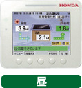 昼
